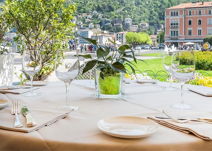 메트로폴 수이세