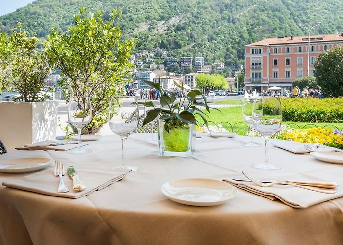 메트로폴 수이세