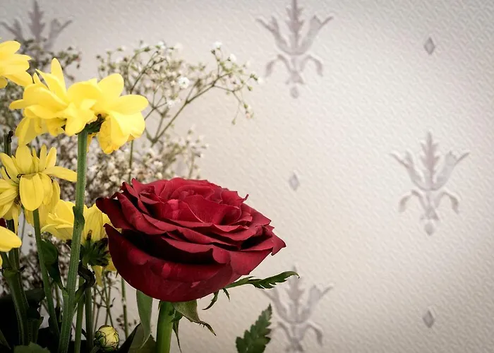 메트로폴 수이세 4*